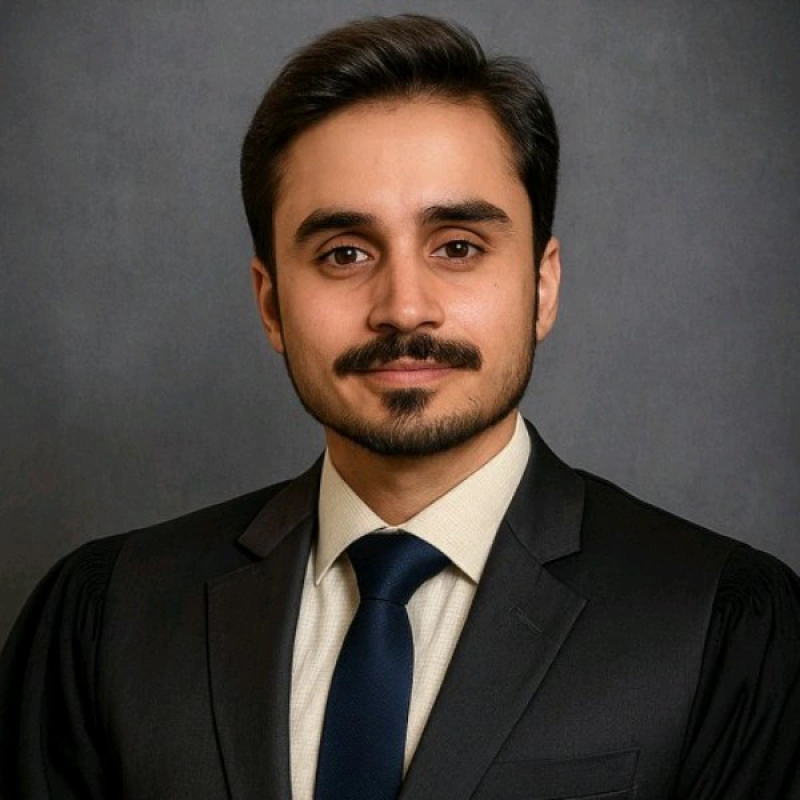 Web Developer AIMarkLabs